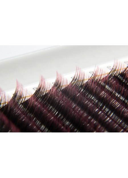 OMBRE lashes pink