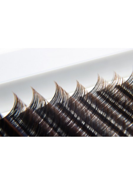 OMBRE lashes brown